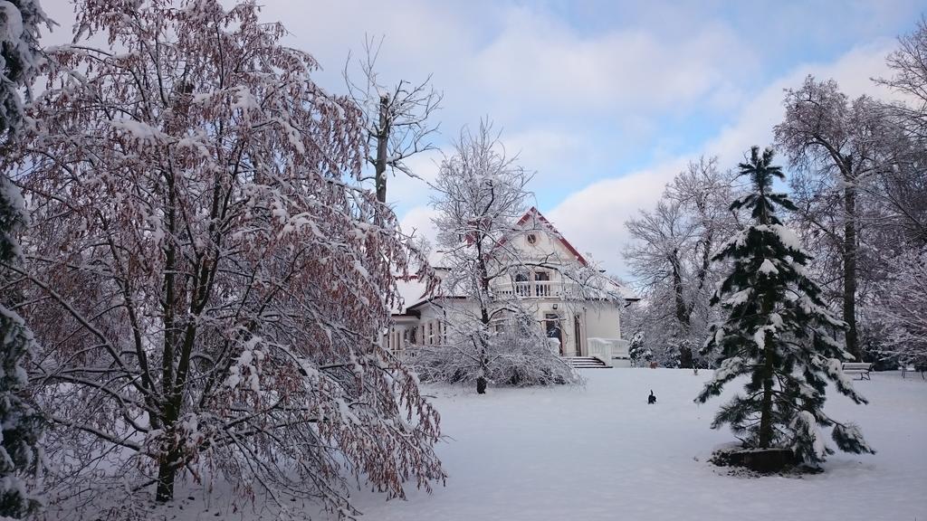 Dwor Osmolice Bed & Breakfast Bialki Dolne Exterior photo