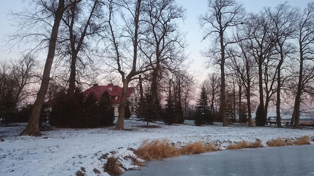 Dwor Osmolice Bed & Breakfast Bialki Dolne Exterior photo